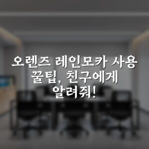 오렌즈 레인모카 사용 꿀팁, 친구에게 알려줘!