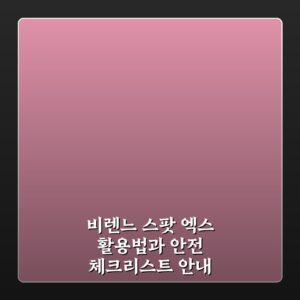 비렌느 스팟 엑스 활용법과 안전 체크리스트 안내