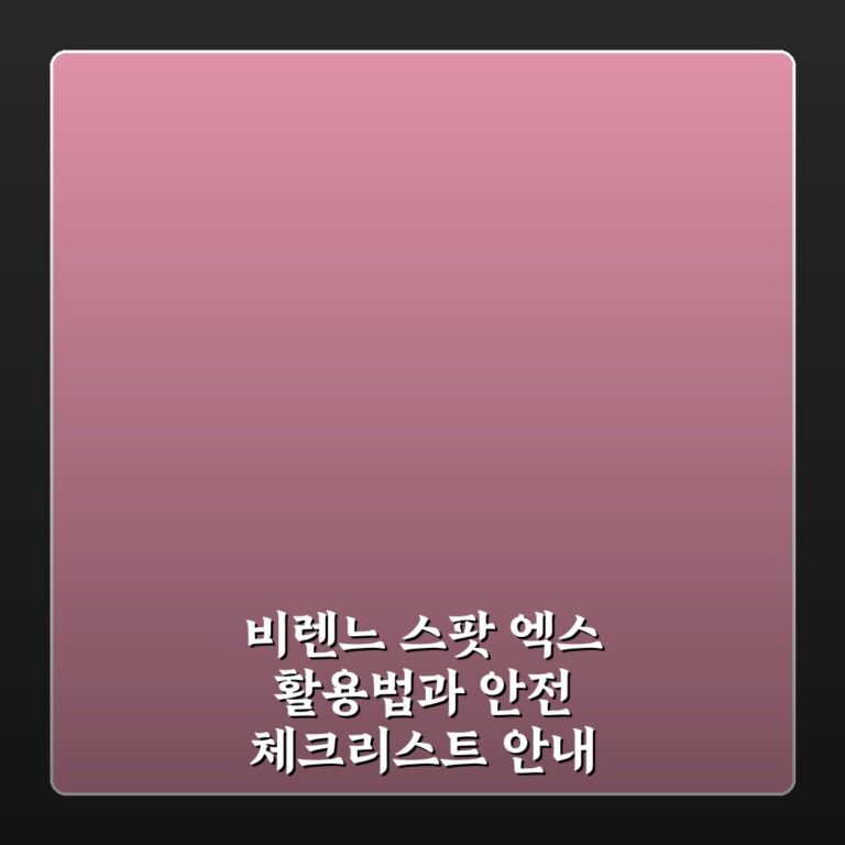 비렌느 스팟 엑스 활용법과 안전 체크리스트 안내