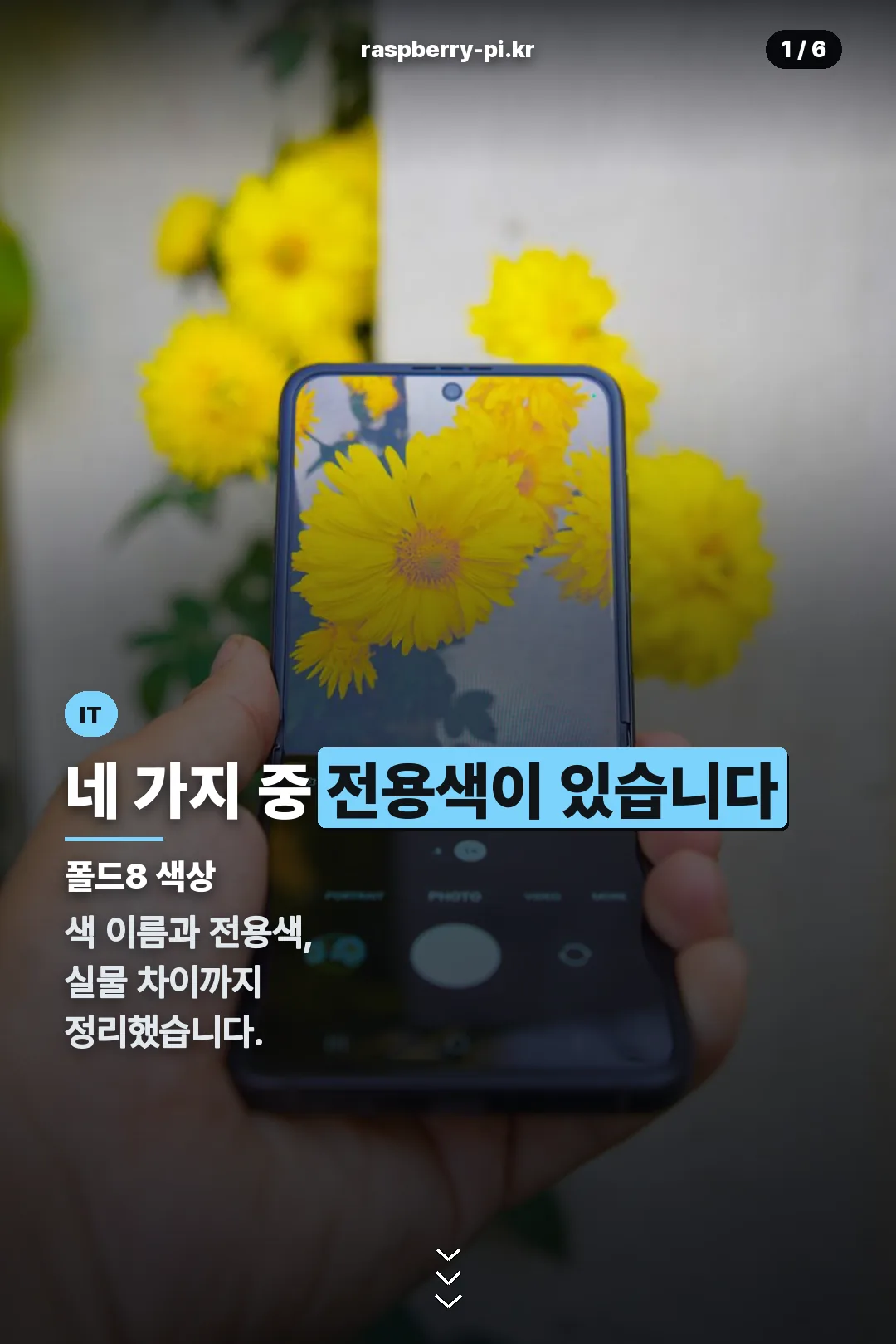 폴드8 색상 표지