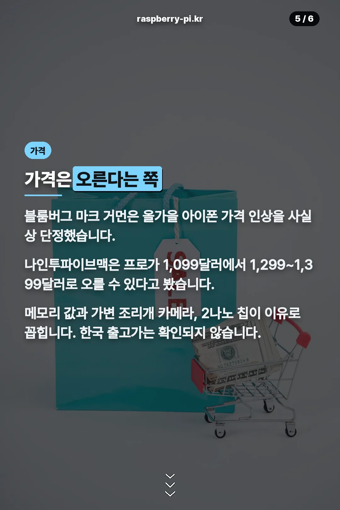 가격 인상 전망