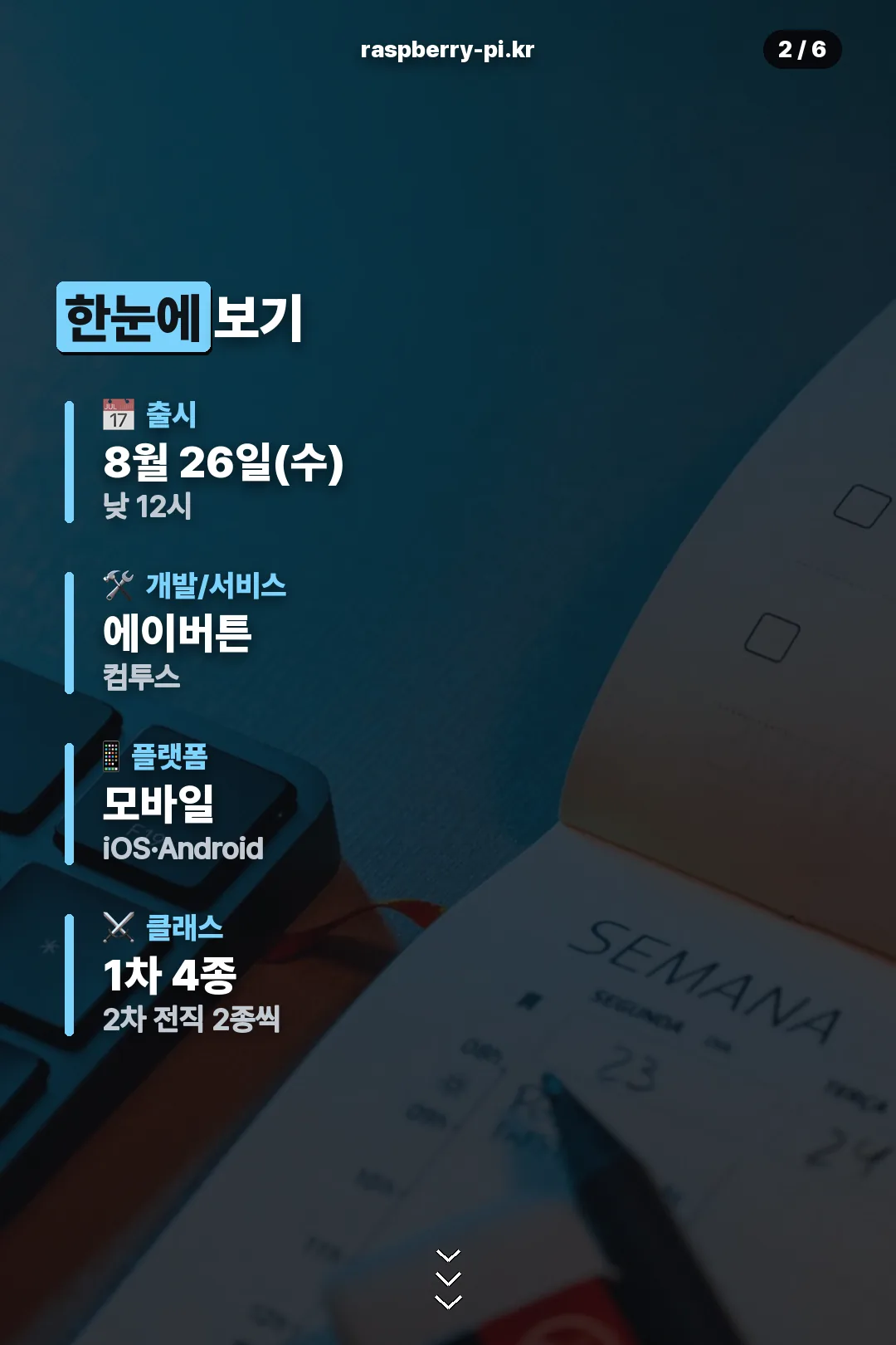 출시 정보 요약