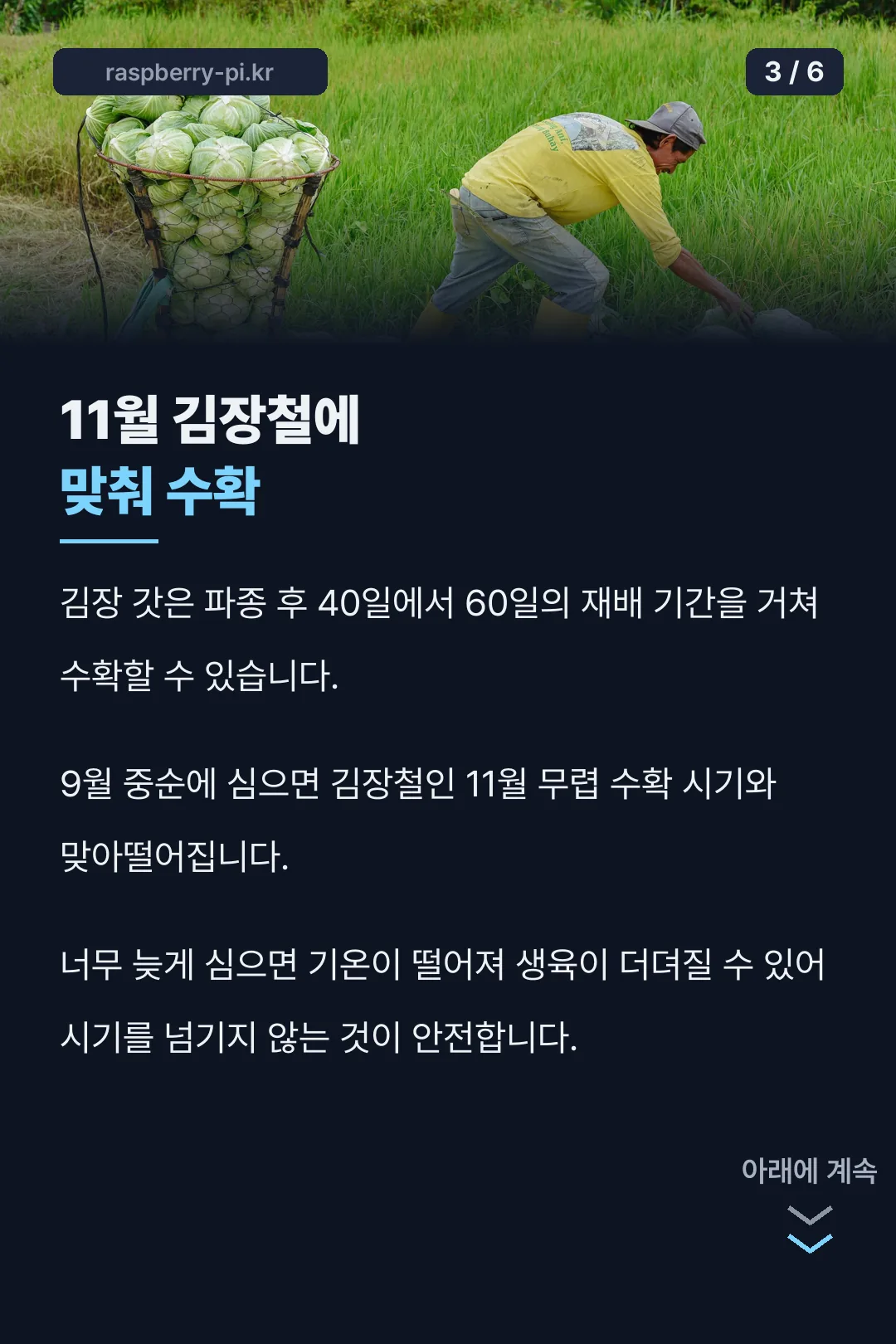 수확까지 걸리는 기간