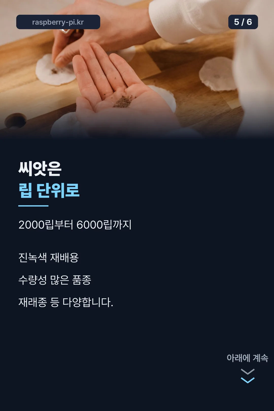 씨앗 고르는 법