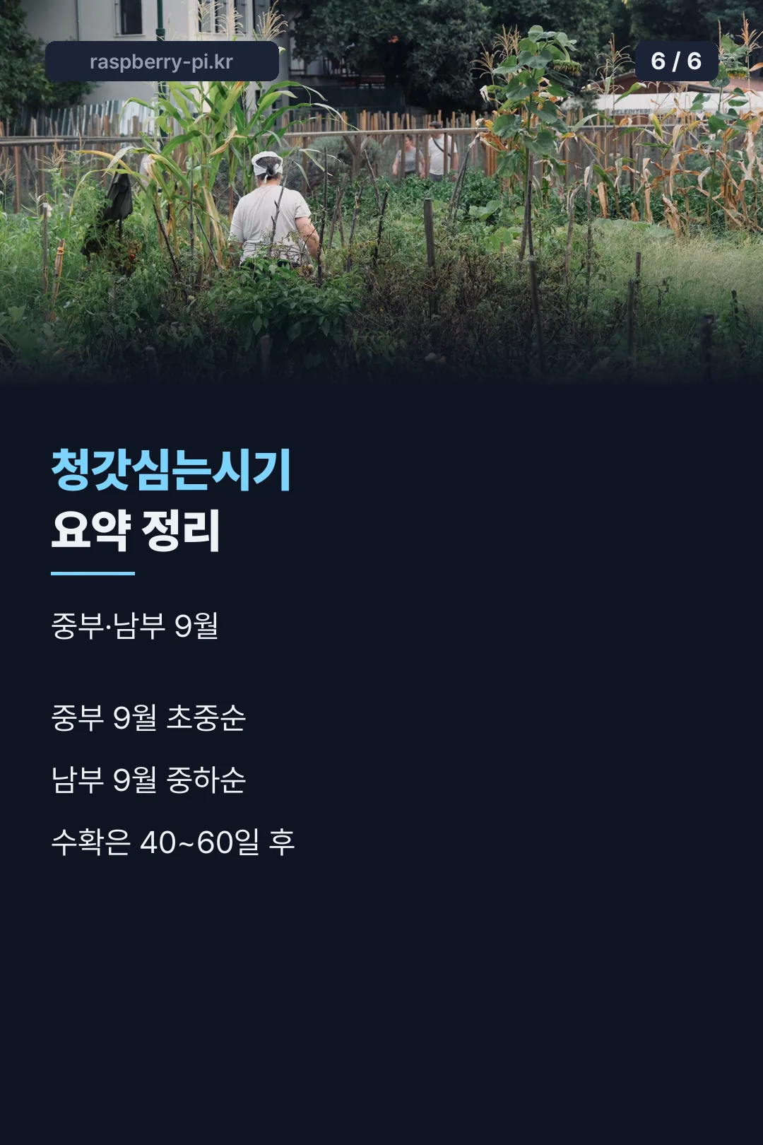 요약 정리