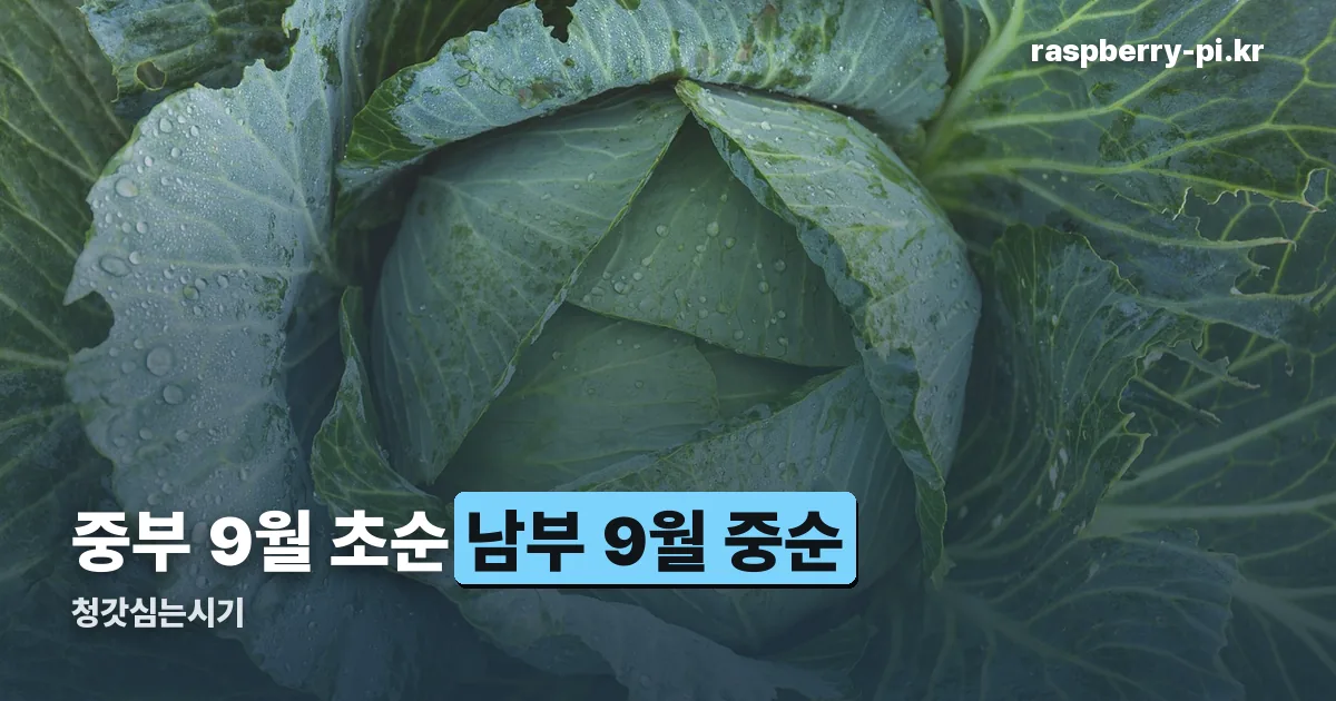 청갓심는시기 정리 썸네일