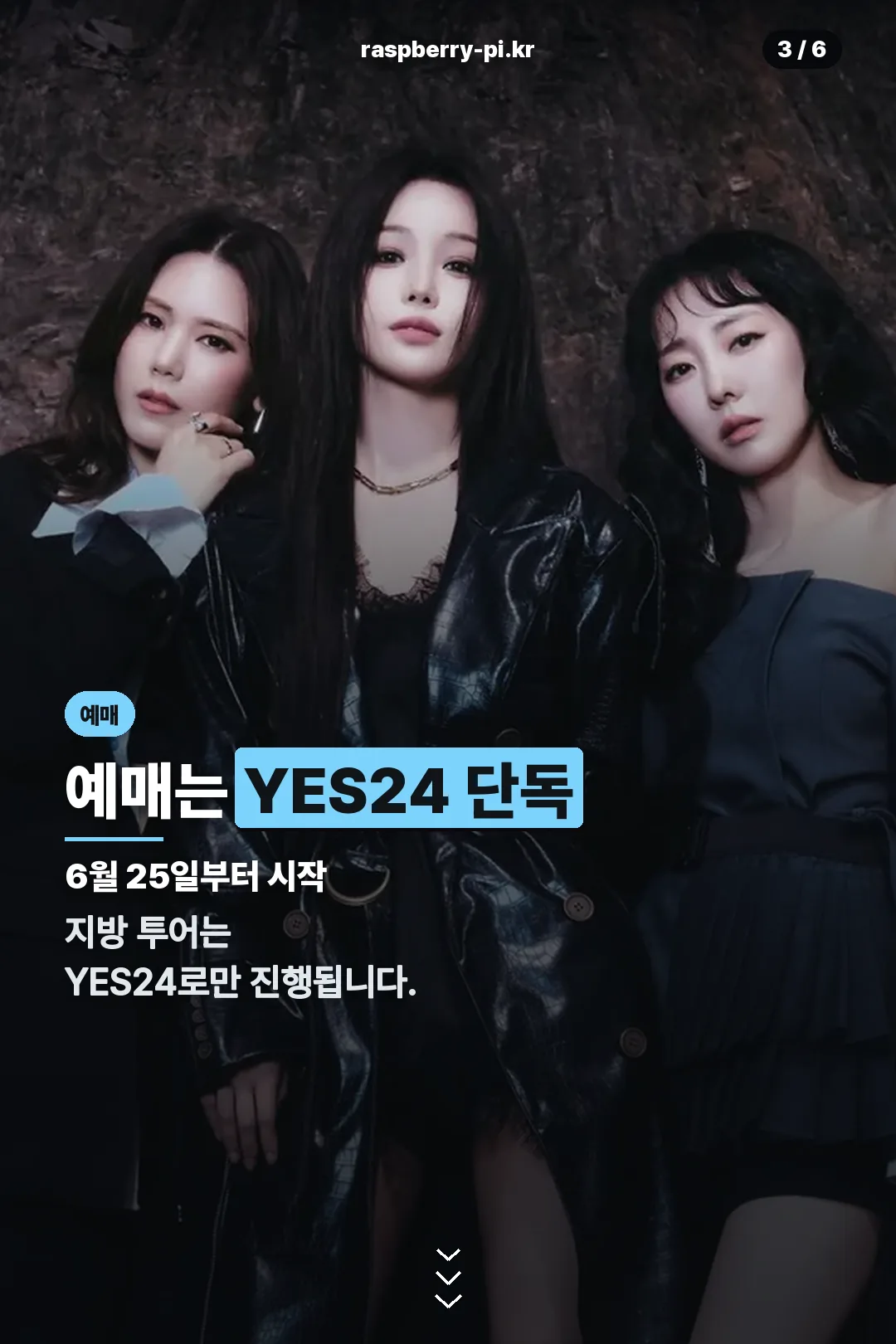 예매 안내