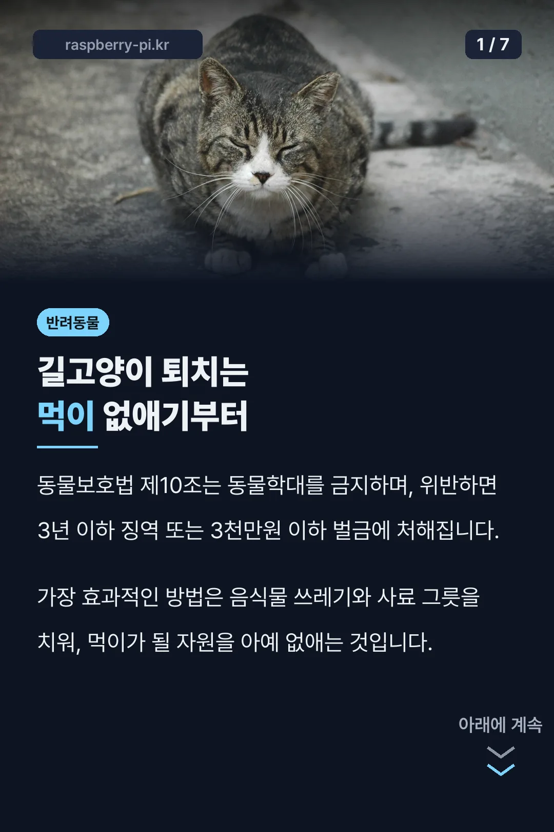 길고양이 퇴치는 먹이 없애기부터
