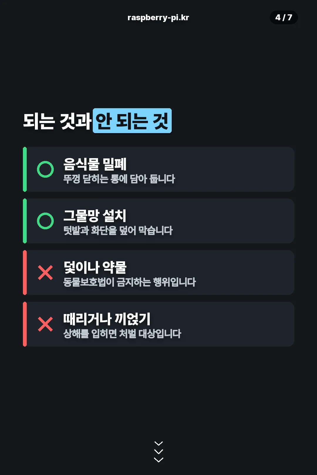 허용과 금지