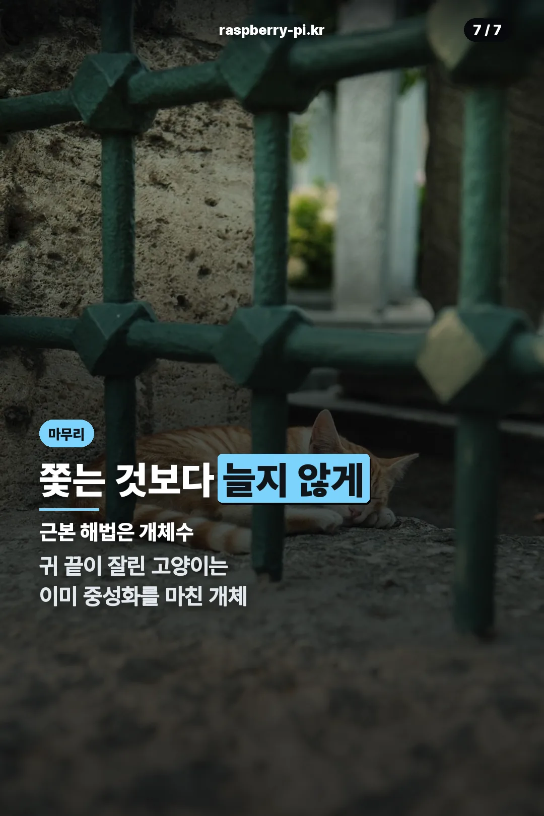 마무리