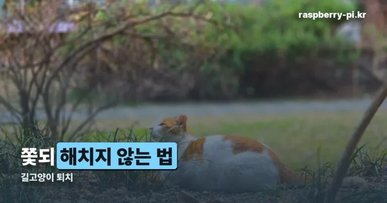 길고양이 퇴치 — 해치지 않고 오지 않게 하는 법