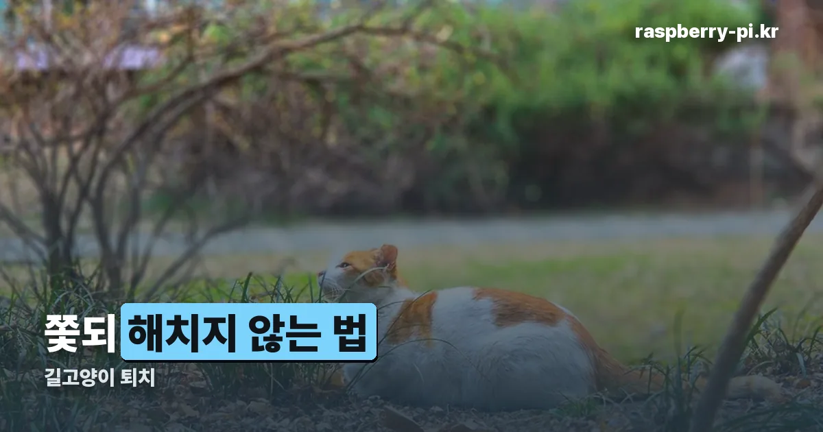 길고양이 퇴치 정리 썸네일