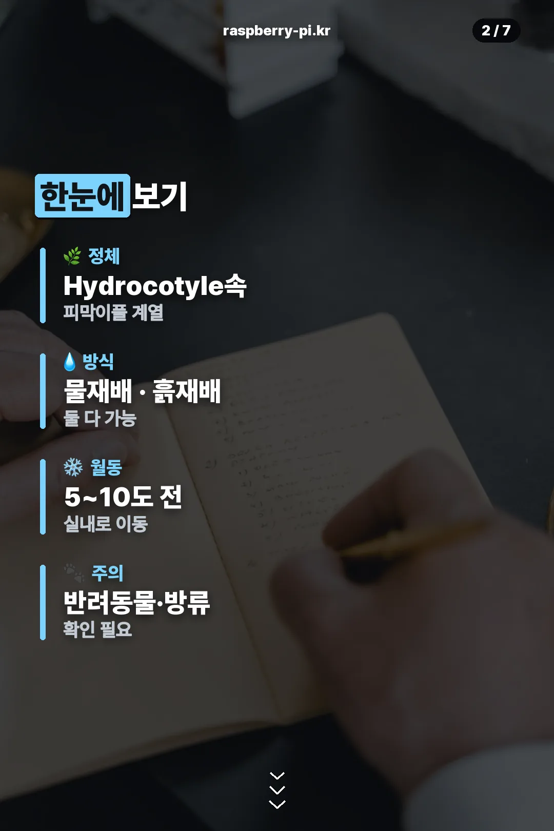 정체 요약