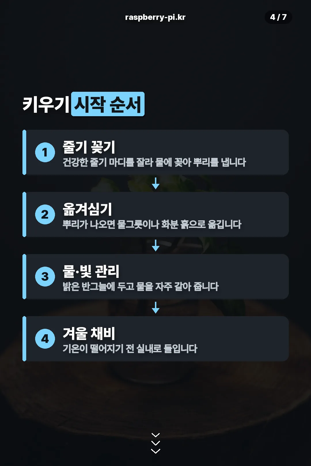 키우기 순서