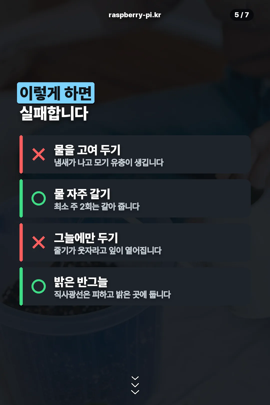 실패 점검