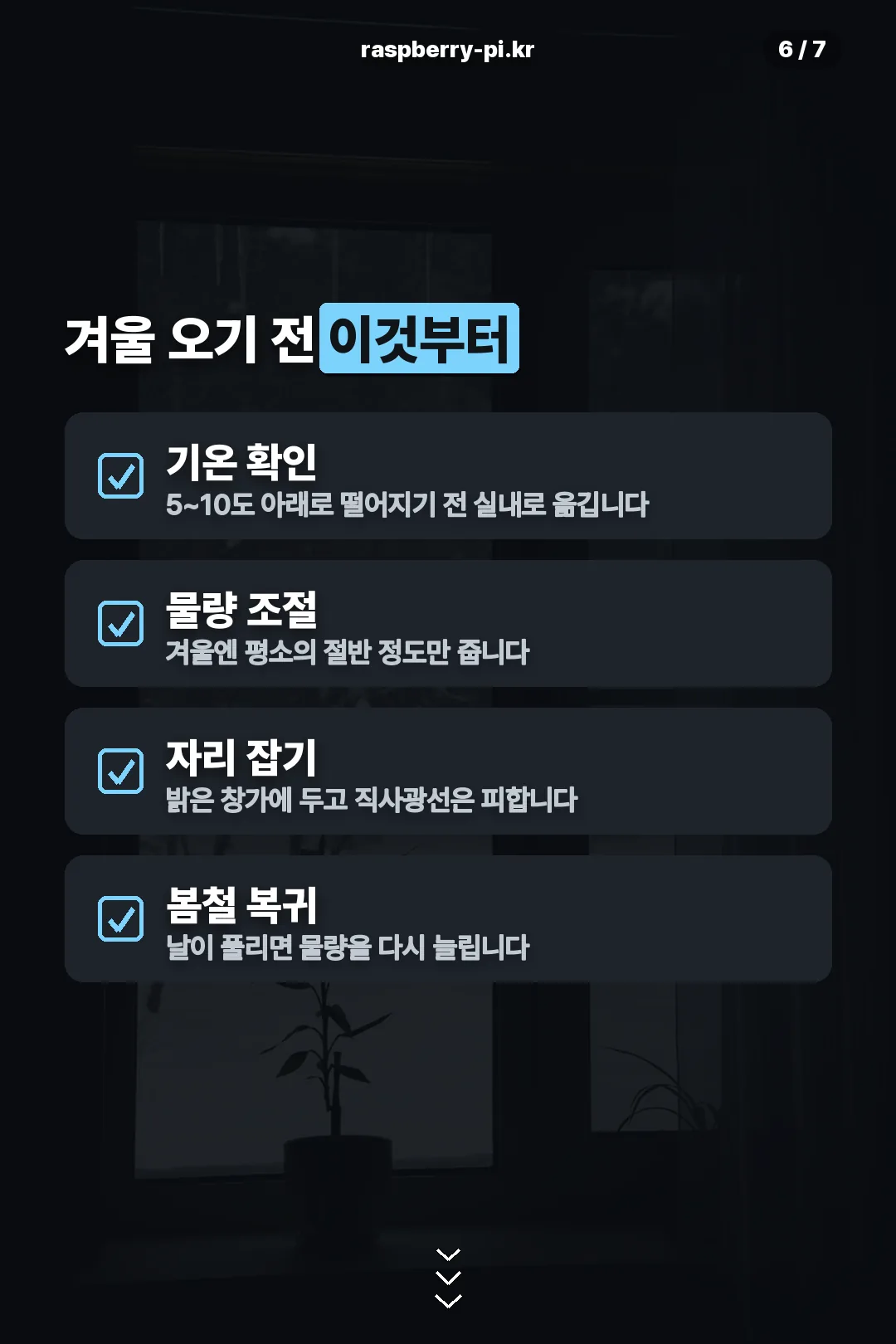 월동 체크리스트
