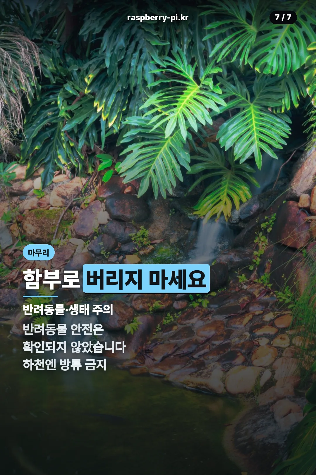 반려동물·방류 주의