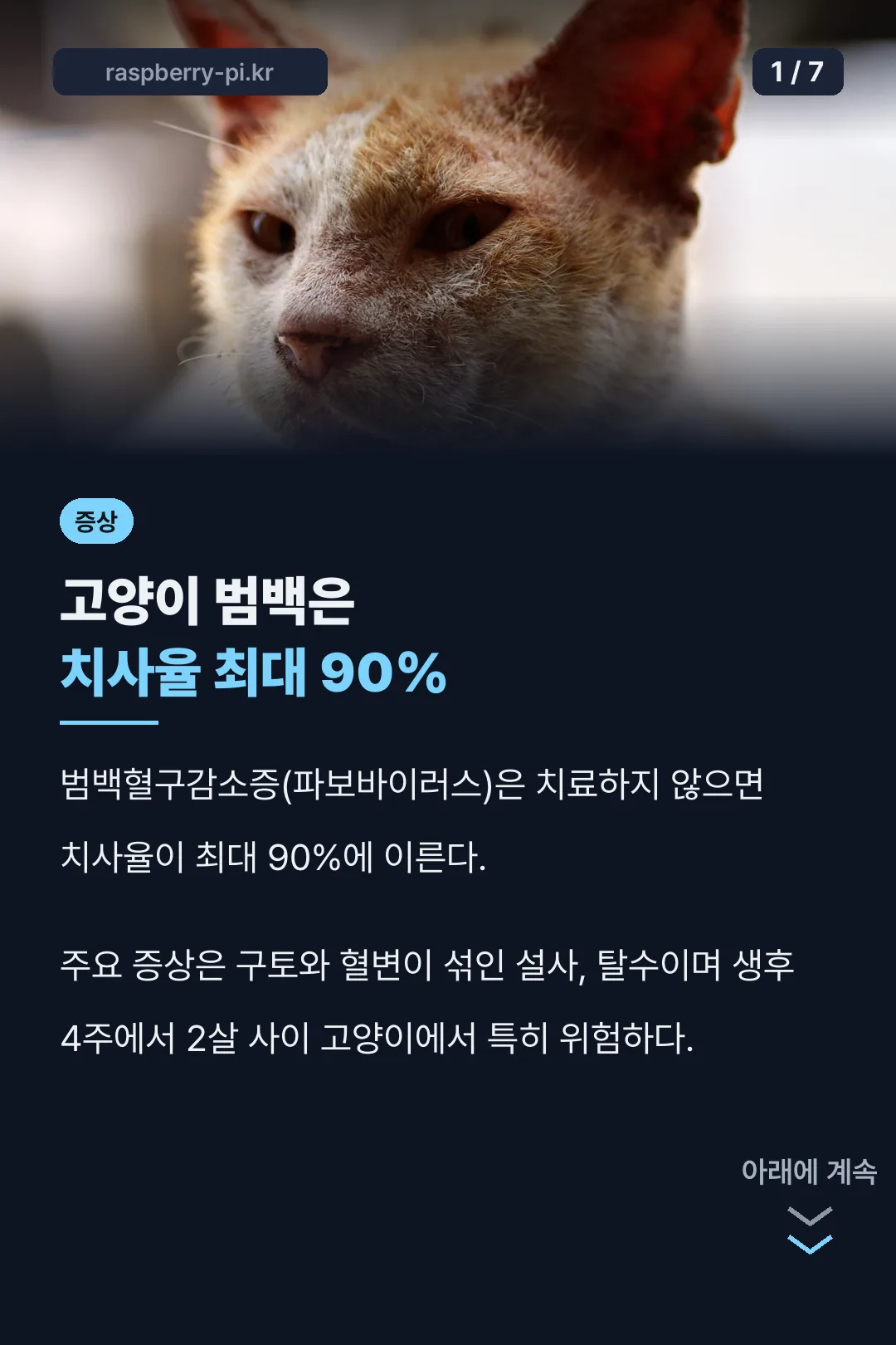 고양이 범백 치사율 요약