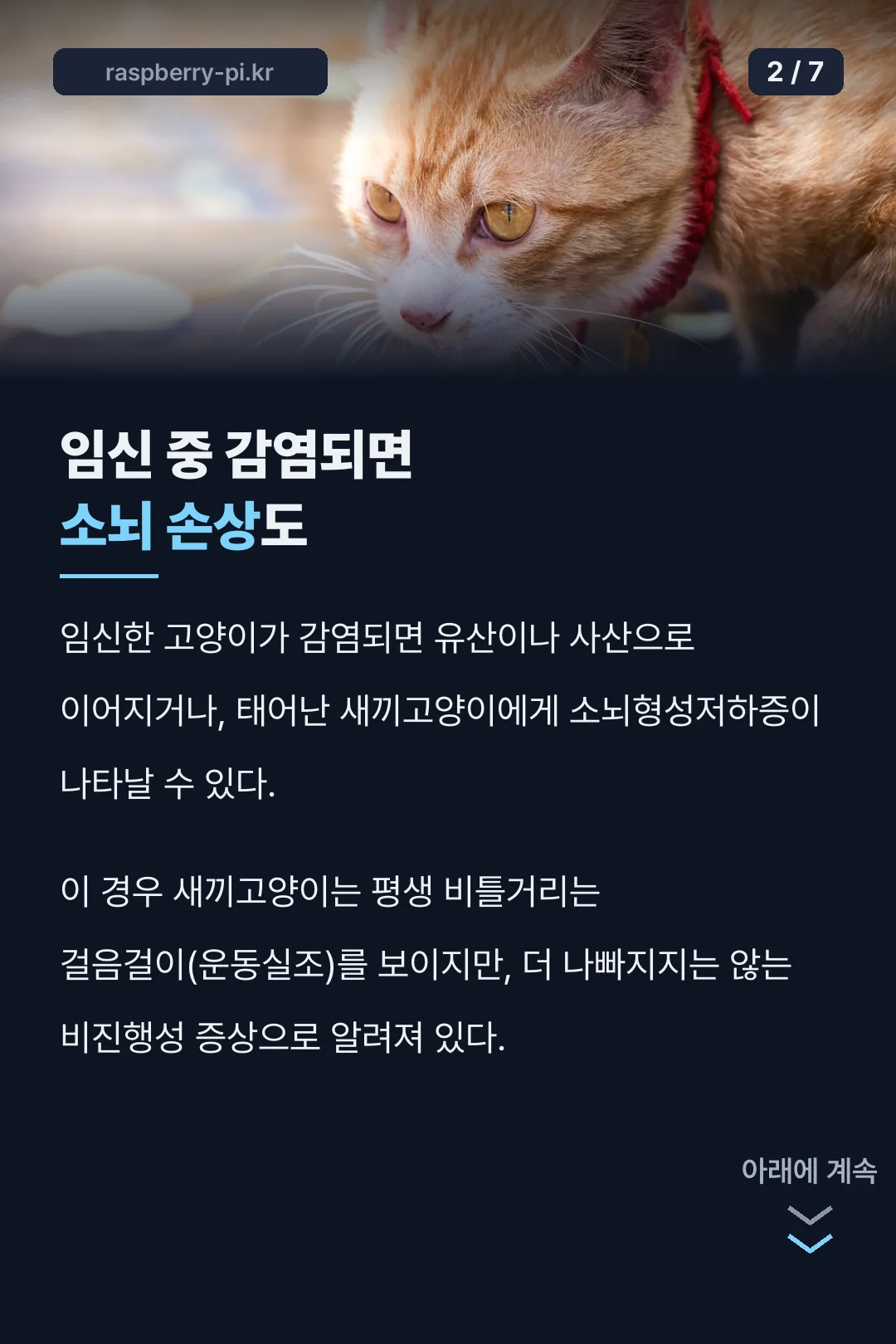 임신 중 감염과 소뇌형성저하증