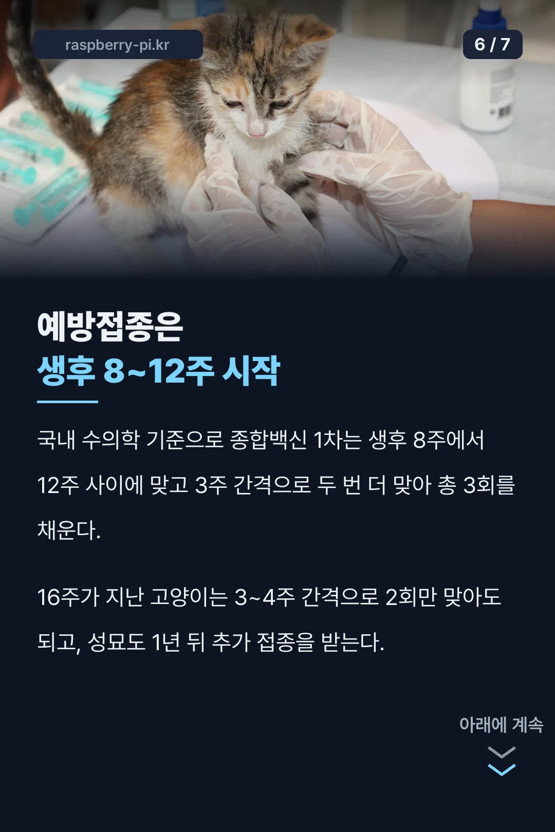 예방접종 시기