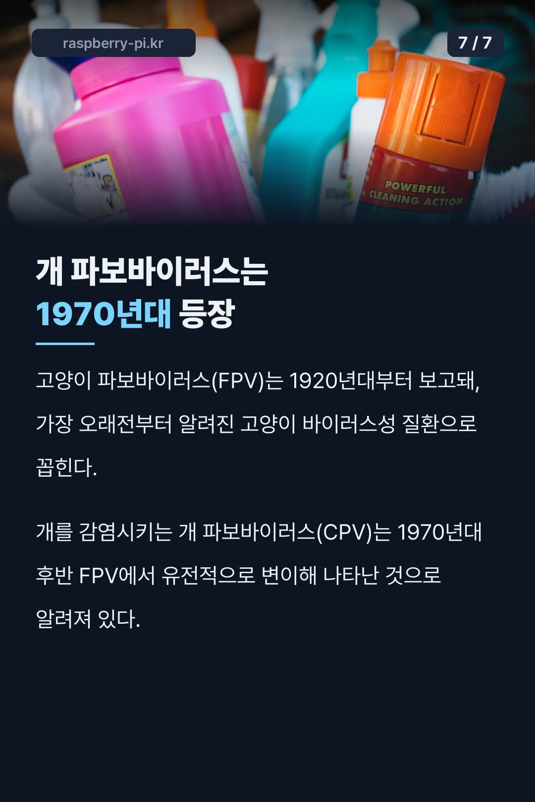 개 파보바이러스 등장 기록