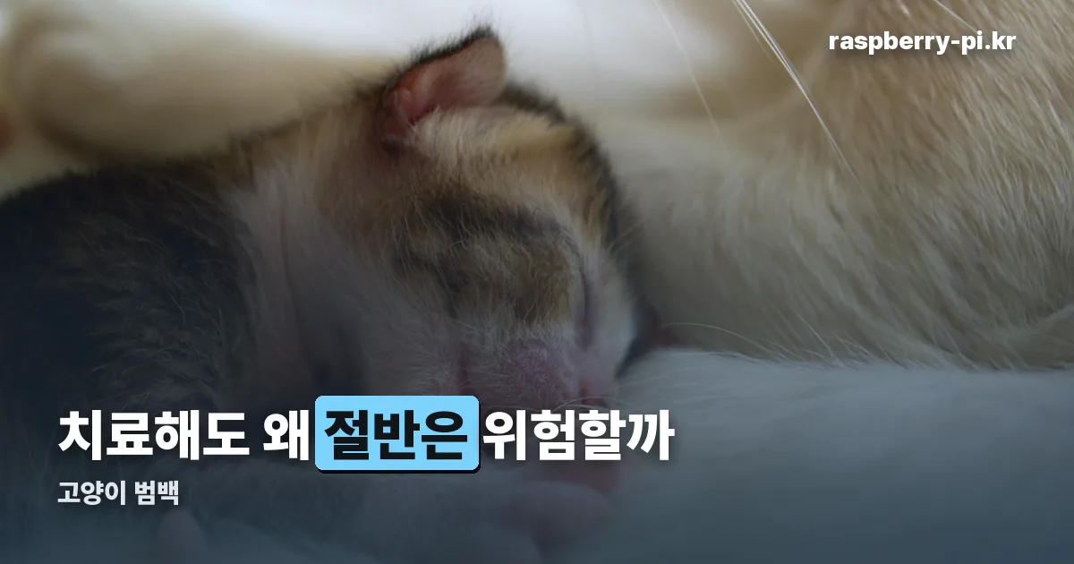 고양이 범백 정리 썸네일