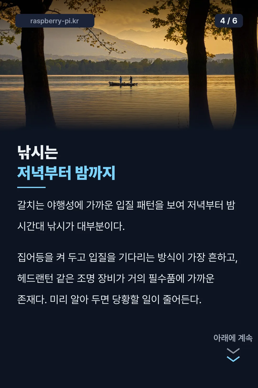 밤낚시 시간대