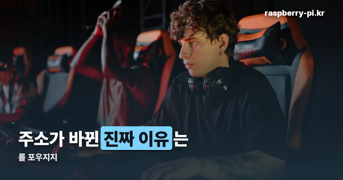 롤 포우지지 정리 썸네일