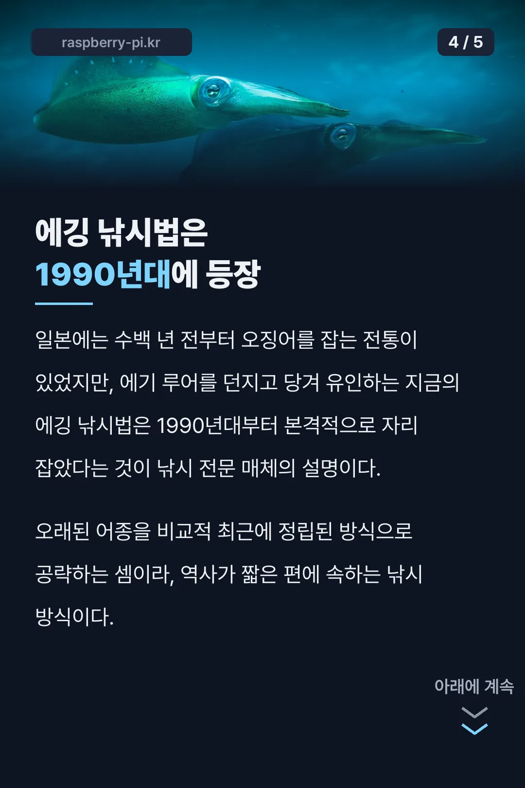 에깅 낚시법 1990년대 유래