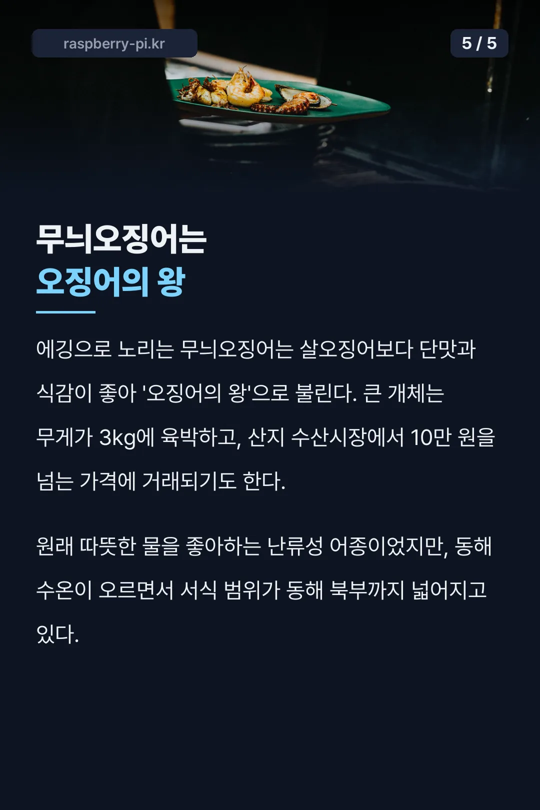 무늬오징어 오징어의 왕 기록