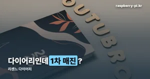 리센느 다이어리, 2027년용 안원잘부 굿즈 가격·구성 정리